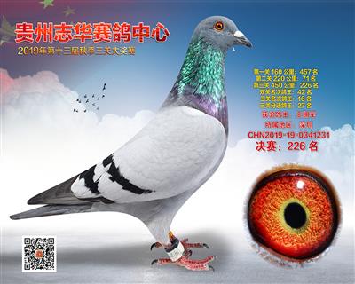 贵州志华决赛226名