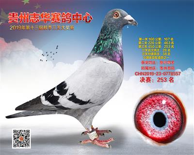 贵州志华决赛253名