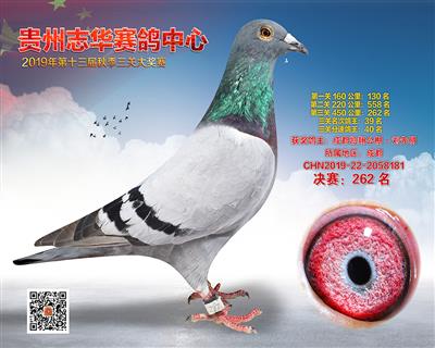 贵州志华决赛262名