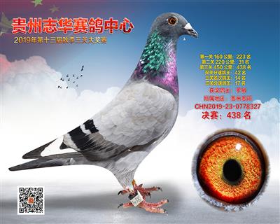 贵州志华决赛438名