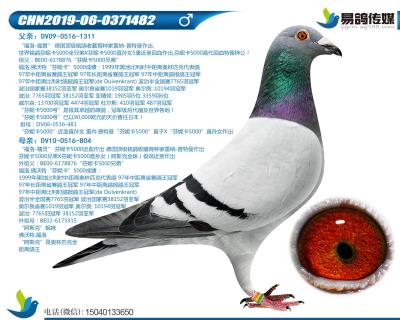 福洛-芬妮卡先生482