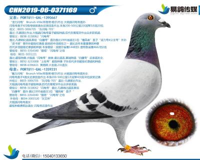 蓋比-閃電王子169
