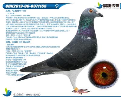佛卡門-潘特佳人155