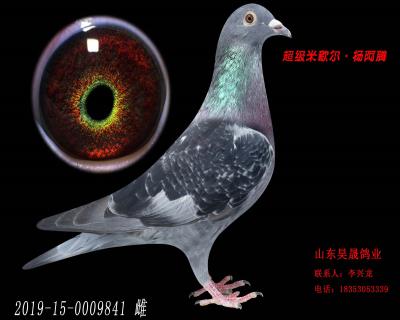 米歇爾.楊阿騰