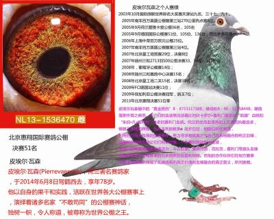皮埃爾,瓦森