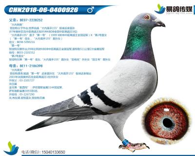 賀伯特-大內高手926