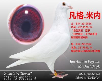 兆佳工棚55平辈【凡格米内】