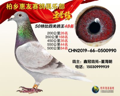 惠友俱樂部:四關鴿王四十八名