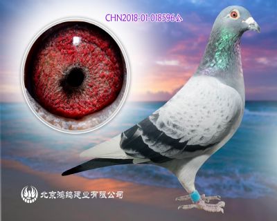 芮娜飛戈直子X芮娜飛戈外孫女
