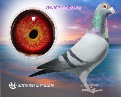 勞拉”全兄弟X奶酪731直女