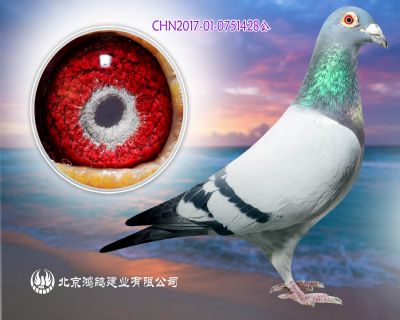 “凡龍原棚X凡龍影帝X凡龍影后 血系