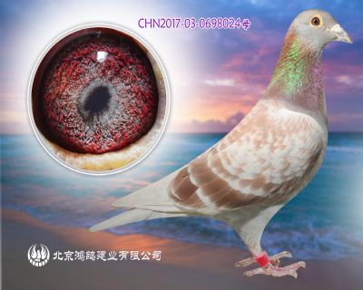 “紅詹森稀世珍品家族”