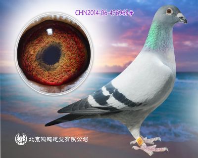 超級實戰大雌