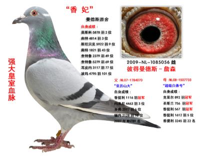 彼德 曼得斯原棚詹森