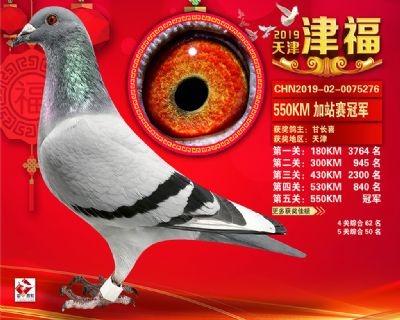 天津津福加站賽冠軍