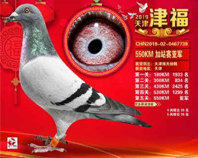 天津津福加站賽亞軍