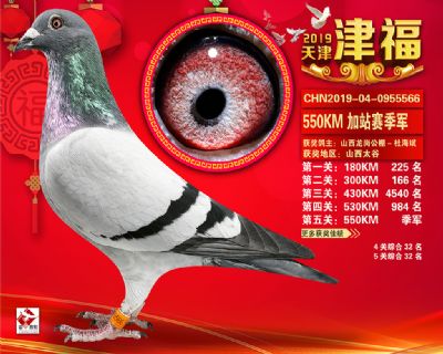 天津津福加站賽季軍