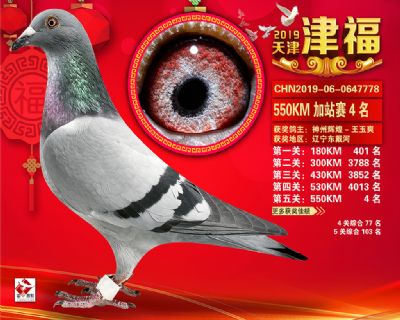 天津津福加站賽4名