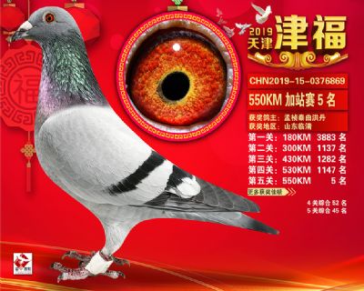 天津津福加站賽5名