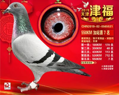 天津津福加站賽7名