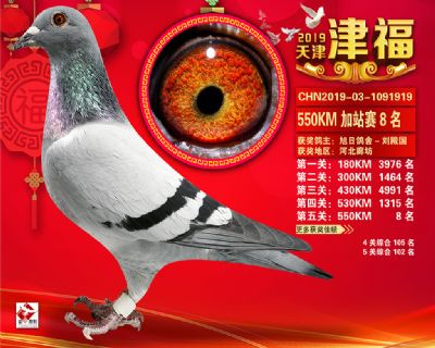 天津津福加站賽8名