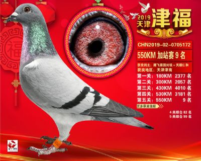 天津津福加站賽9名