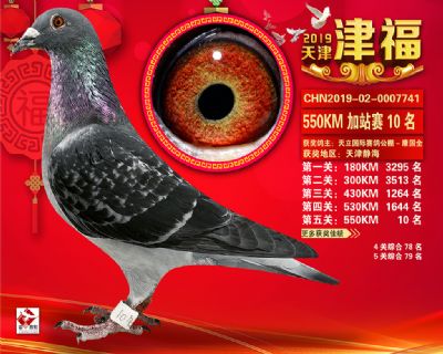 天津津福加站賽10名