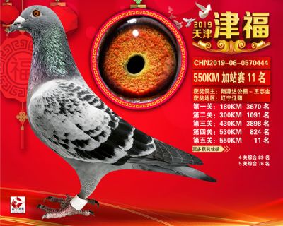 天津津福加站賽11名
