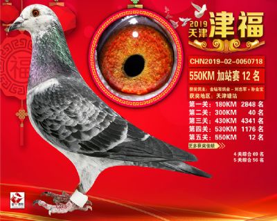 天津津福加站賽12名