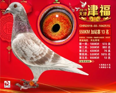 天津津福加站賽13名