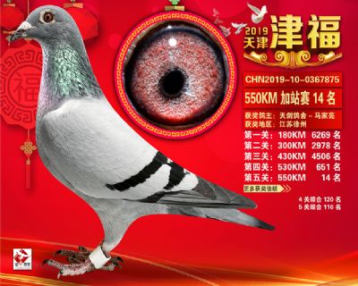天津津福加站賽14名
