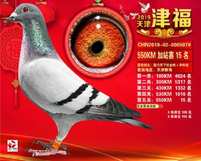 天津津福加站賽15名