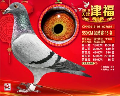 天津津福加站賽16名