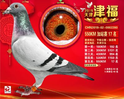 天津津福加站賽17名