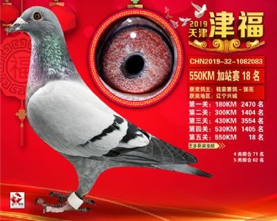 天津津福加站賽18名