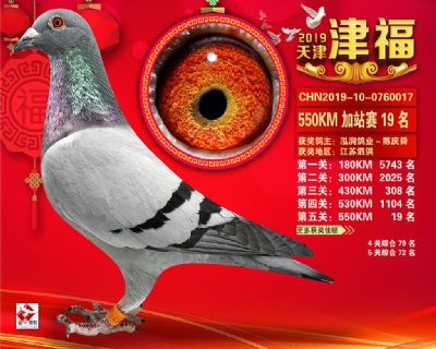 天津津福加站賽19名