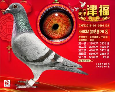 天津津福加站賽20名