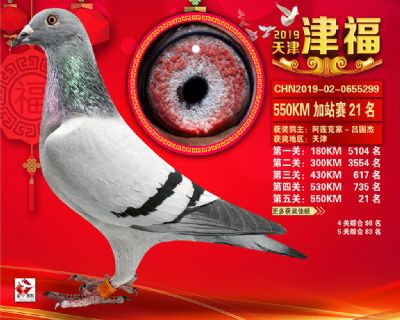 天津津福加站賽21名