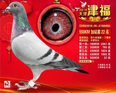天津津福加站賽22名