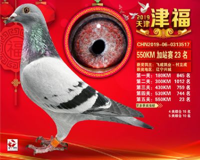 天津津福加站賽23名