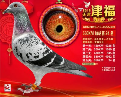 天津津福加站賽24名