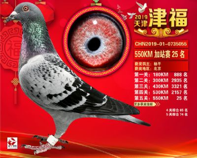 天津津福加站賽25名
