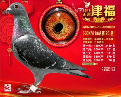 天津津福加站賽26名