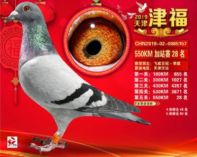 天津津福加站賽28名