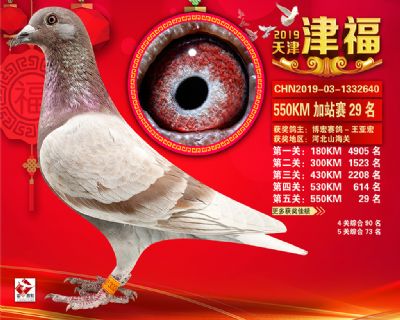 天津津福加站賽29名