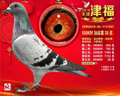 天津津福加站賽30名