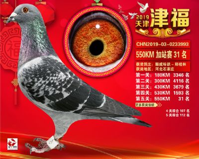 天津津福加站賽31名