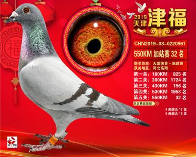 天津津福加站賽32名