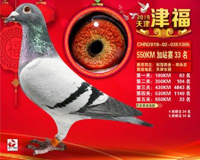 天津津福加站賽33名