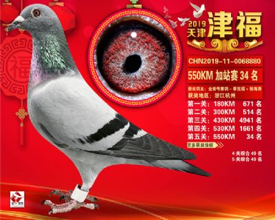 天津津福加站賽34名